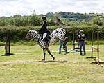 Wanborough Horse and Dog show